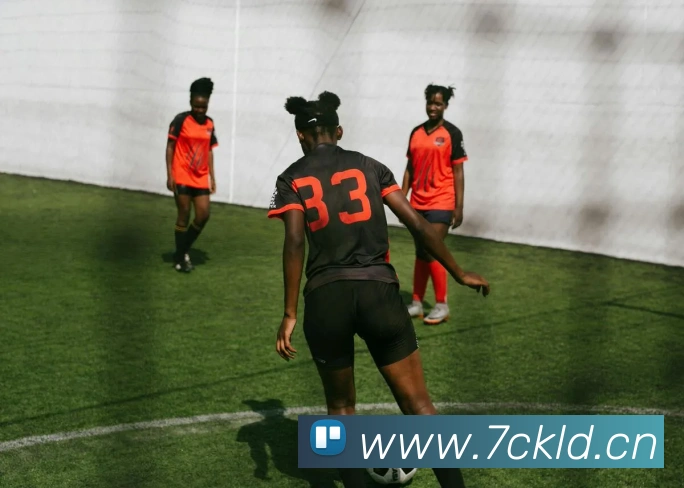 乐鱼网页版登陆入口平台生态图