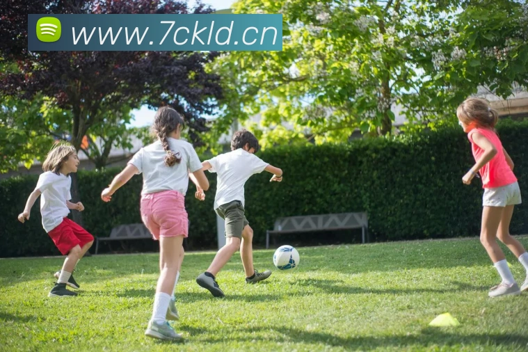 乐鱼网页版登陆入口APP 封面图